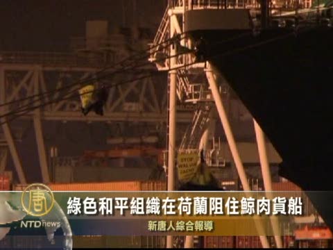 綠色和平組織在荷蘭阻住鯨肉貨船