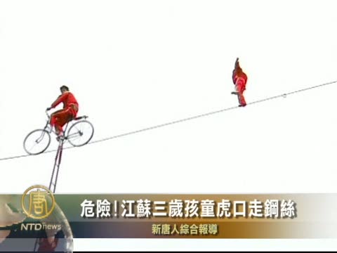 江蘇常州三歲孩童虎口走鋼絲