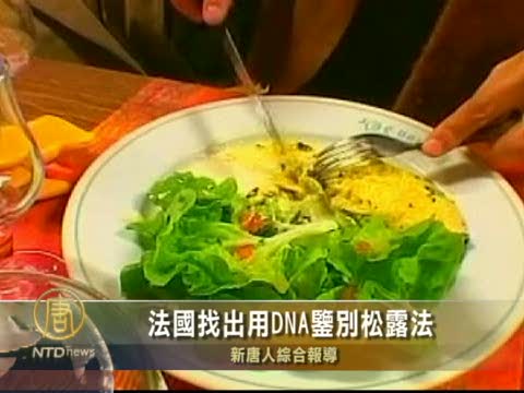 法國找出用DNA鑒別松露法