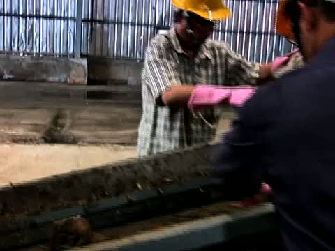 生化科技突破 全自動分解有機垃圾