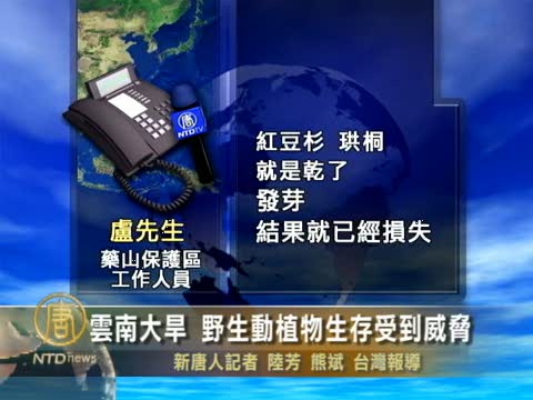 雲南大旱 野生動植物生存受到威脅