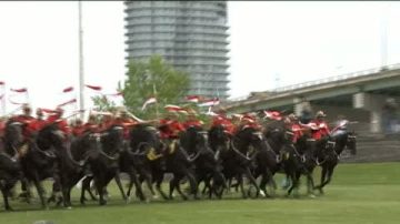 多伦多皇家骑警表演马术