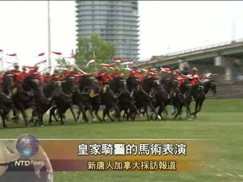 多倫多皇家騎警表演馬術