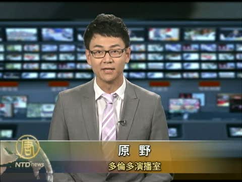森林業和環保組織達成延緩砍伐協議