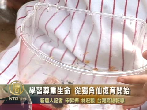 學習尊重生命 從獨角仙復育開始