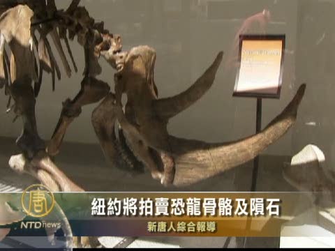 紐約將拍賣恐龍骨骼及隕石