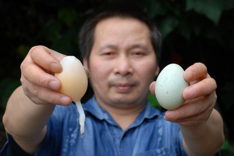 稀奇 鴨蛋長「尾巴」