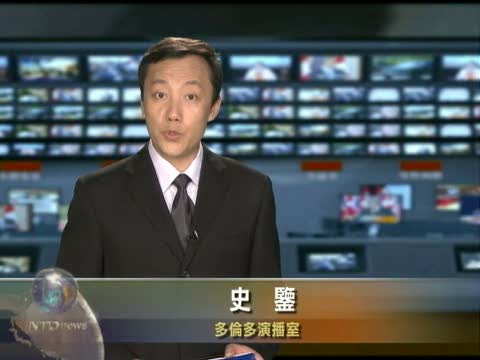 多倫多荷蘭球迷歡慶勝利