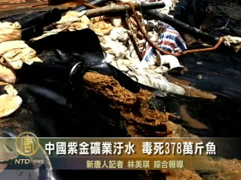 中國紫金礦業污水 毒死378萬斤魚