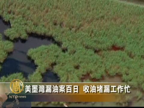 美墨灣漏油案百日 收油堵漏工作忙