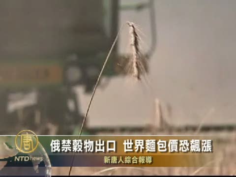 俄禁穀物出口 世界麵包價恐飚漲