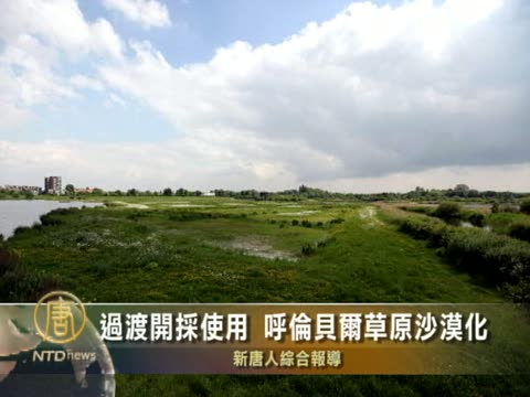 過渡開採使用 呼倫貝爾草原沙漠化