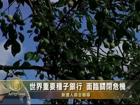 世界重要種子銀行 面臨關閉危機