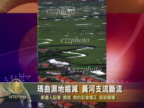 瑪曲濕地縮減 黃河支流斷流