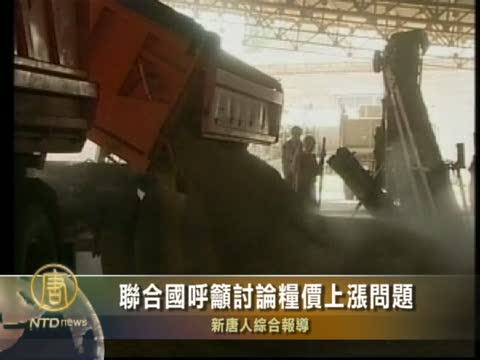 聯合國呼籲討論糧價上漲問題