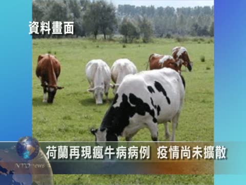 荷蘭再現瘋牛病病例 疫情尚未擴散