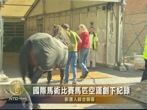 國際馬術比賽馬匹空運創下記錄