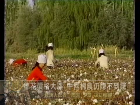 棉花價格大漲 中國棉農仍賺不到錢