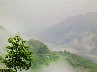 美麗心台灣：梨山