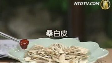 谈古论今话中医：解除掉发危机