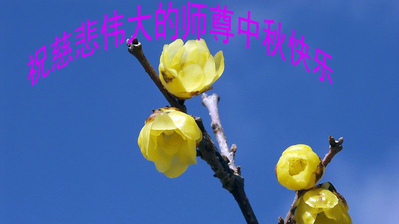 华南法轮功学员恭祝李洪志大师中秋快乐(155地)