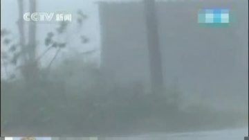 “鲇鱼”中午登陆福建 闽粤需提防暴雨