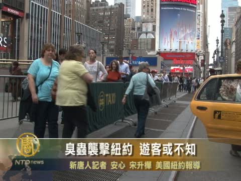 臭蟲襲擊紐約 遊客或不知
