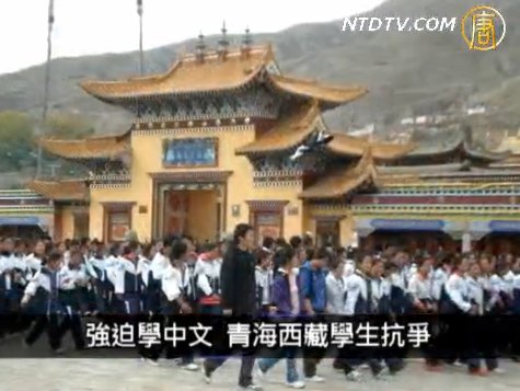 青海藏族學生示威  反對全中文授課