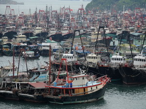 強颱「鯰魚」來襲 粵瓊7萬漁船進港