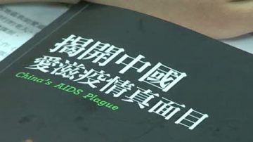 艾滋日前夕 高耀洁再揭中国血祸