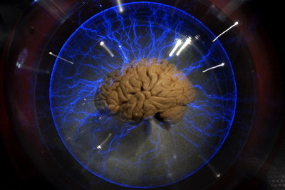 人類大腦不同功能部分可以改變