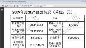 上海佳艺营收过亿利润30万 财务有黑洞？