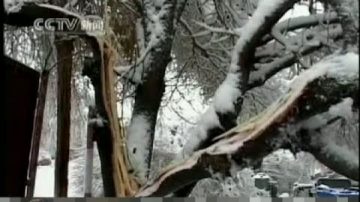 中國西北地區遭逢嚴重雪災