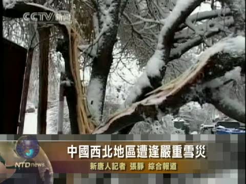 中國西北地區遭逢嚴重雪災