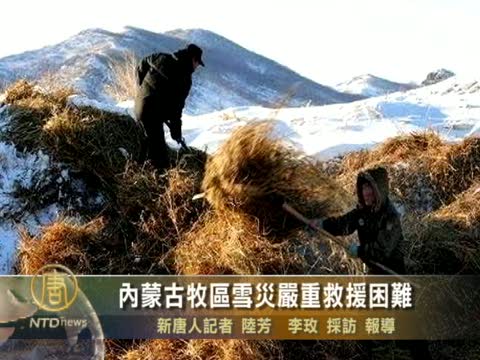 內蒙古牧區雪災嚴重救援困難