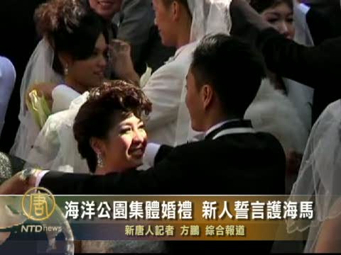 海洋公園集體婚禮 新人誓言護海馬