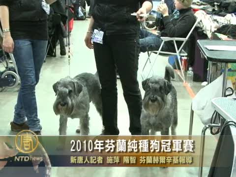 2010年芬蘭純種狗冠軍賽