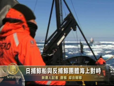 日捕鯨船與反捕鯨團體海上對峙