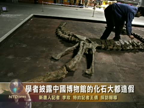 學者披露中國博物館的化石大都造假