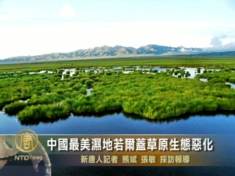 中國最美濕地若爾蓋草原生態惡化