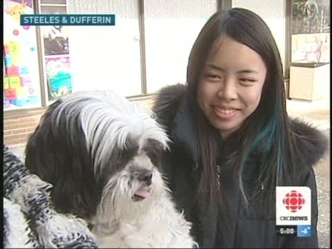 約克區警方找到傷人牧羊犬主人