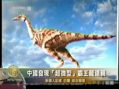中國發現“超微型"霸王龍遠親
