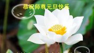 大陸法輪功學員恭祝法輪功創始人元旦快樂（五）