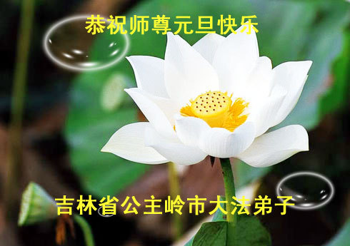 大陆法轮功学员恭祝法轮功创始人元旦快乐(五)