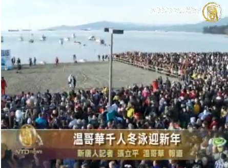 溫哥華千人冬泳迎新年