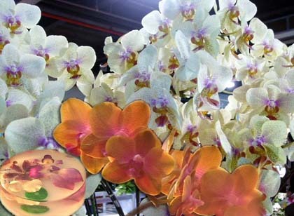 【藝海漫遊】蘭花盛宴-國際蘭展