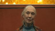 英國著名靈長類行爲學家  珍•古道爾 恭賀新年