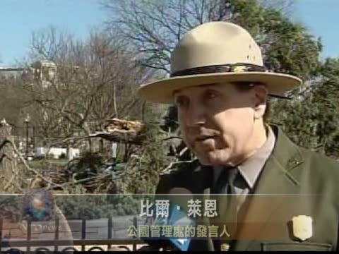 華盛頓颳大風 國家聖誕樹易主