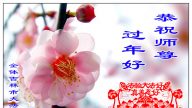 大陸法輪功學員恭祝創始人新年快樂（十六，237地）