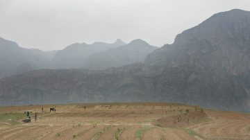 中國北方冬麥產區  旱情嚴重